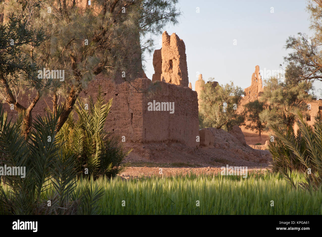 Kasbah rovine di Skoura oasi, Ouarzazate, Marocco Foto Stock