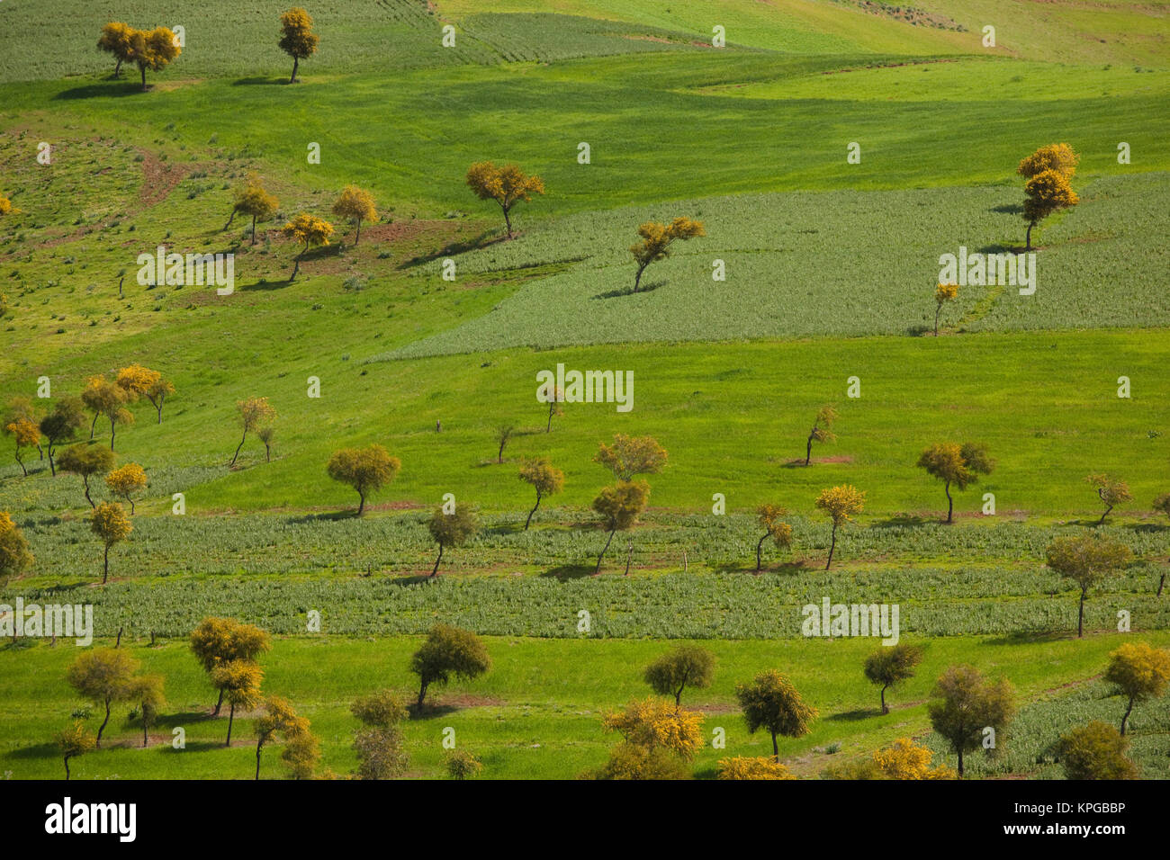 La Tunisia, nord della Tunisia, montagne Kroumirie, Beni Metir, paesaggio di montagna Foto Stock