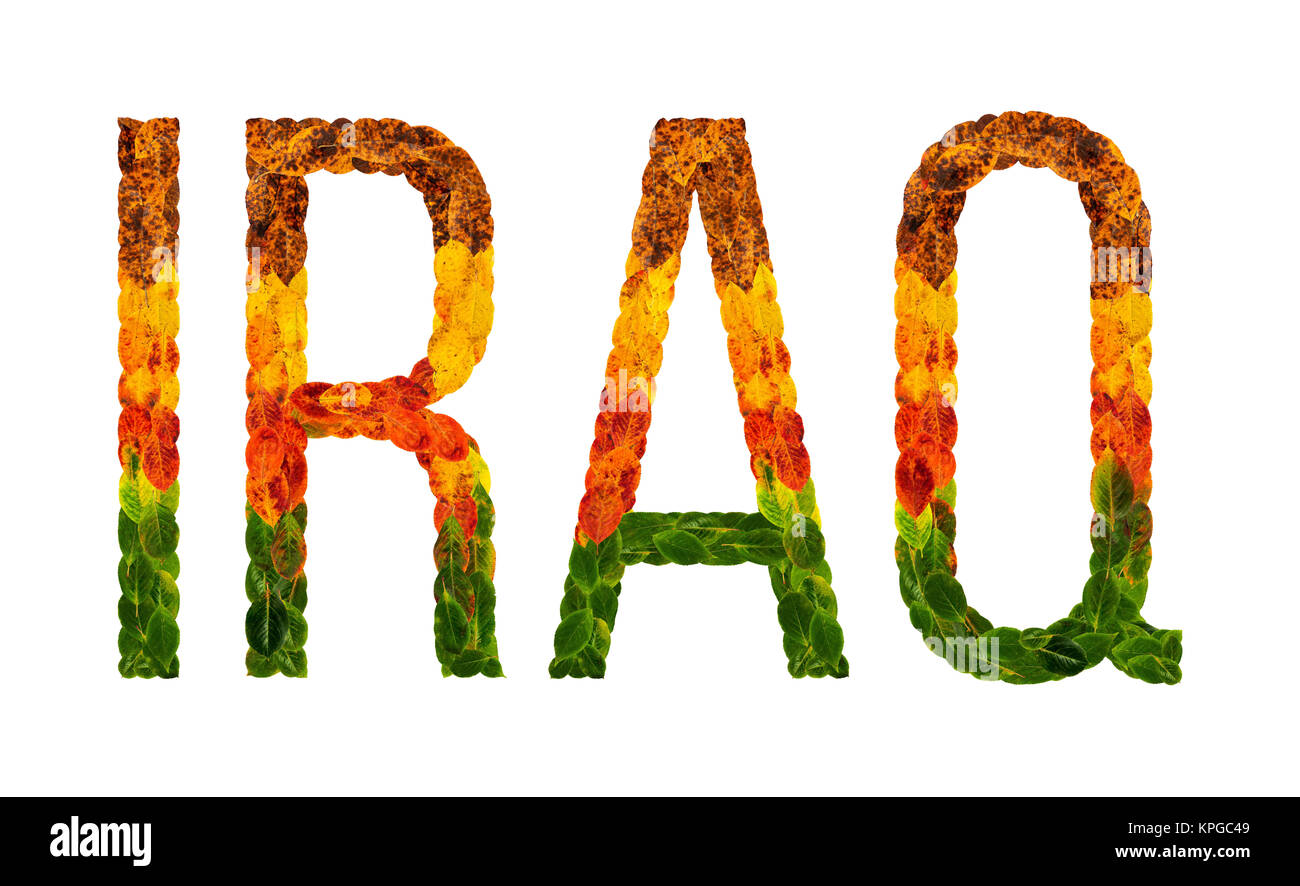 La parola iraq paese è scritto con foglie su un isolato bianco sfondo, un banner per la stampa, un creative di un paese in via di sviluppo di foglie colorate iraq Foto Stock