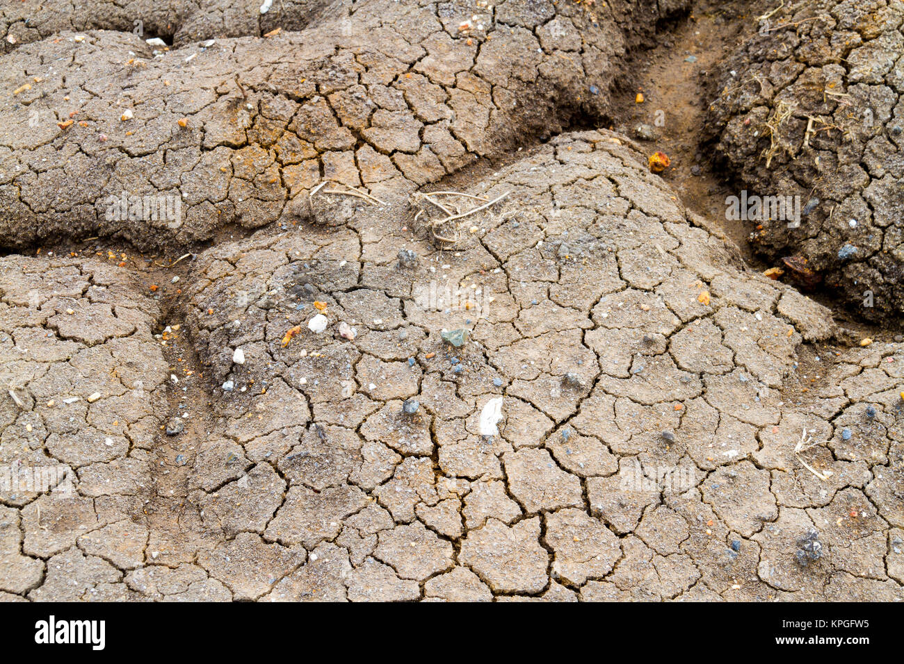Terra con secche e screpolate terreno,fratture del terreno lo sfondo Foto Stock