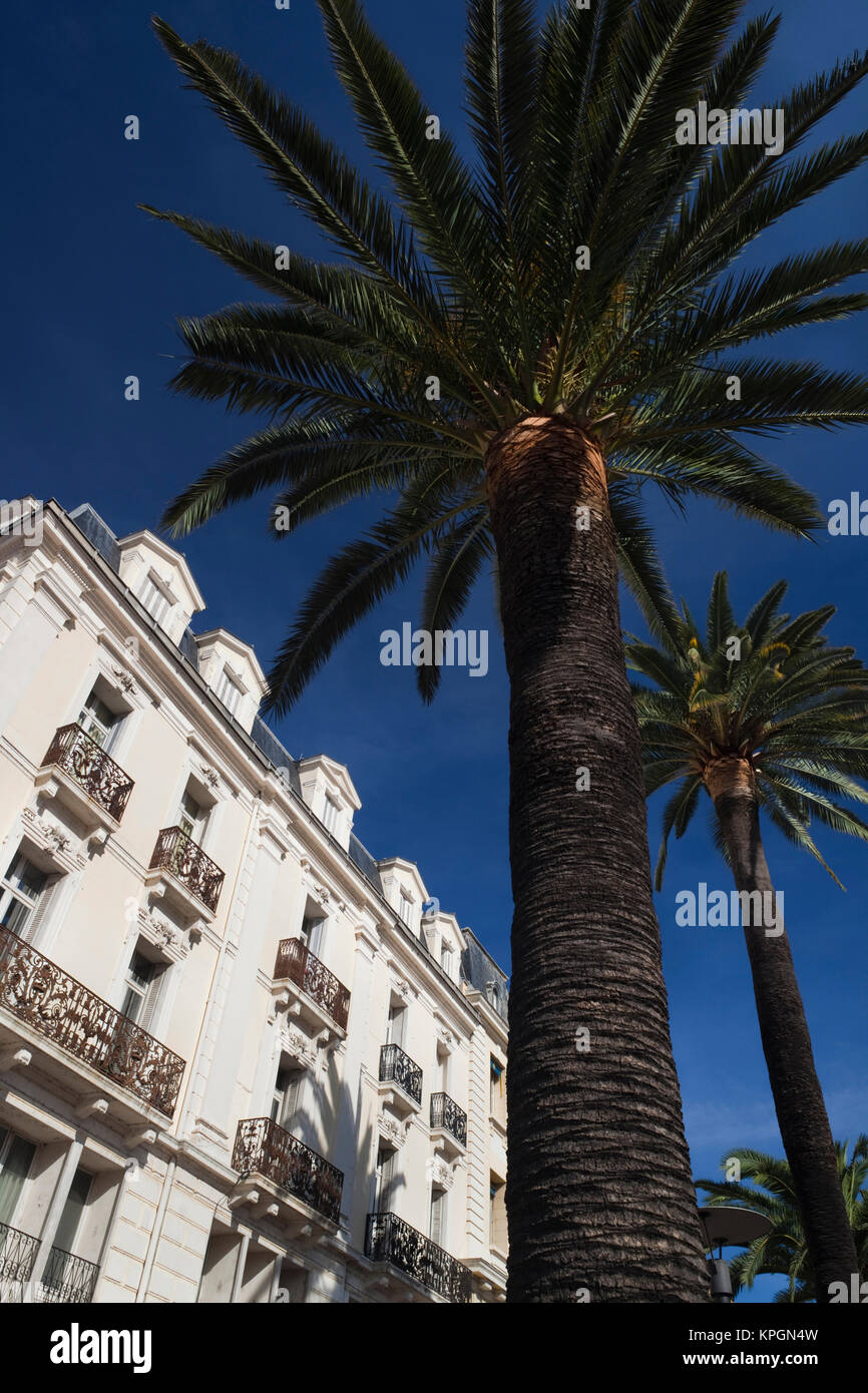France, Languedoc-Roussillon, Dipartimento Pyrenees-Orientales, Perpignan, luogo Arago Foto Stock