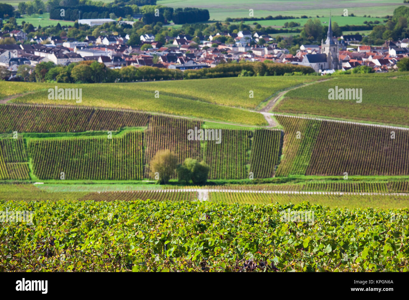 Francia, Marne, Champagne Ardenne, Ay, panoramica del paese Foto stock -  Alamy