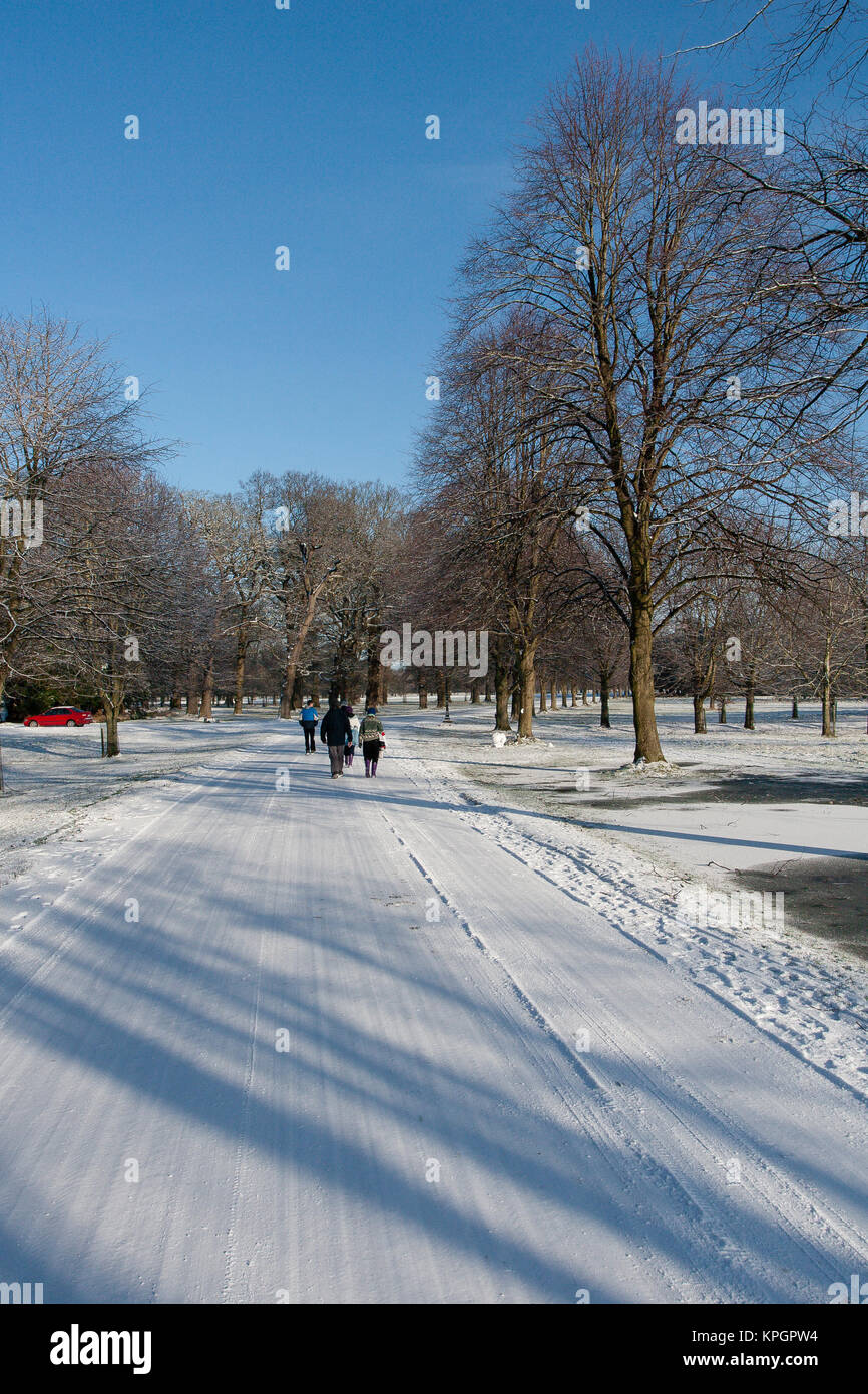 Persone che camminano nella neve al Phoenix Park di Dublino su un bellissimo inverno mattina del primo giorno del nuovo anno 2010 Foto Stock