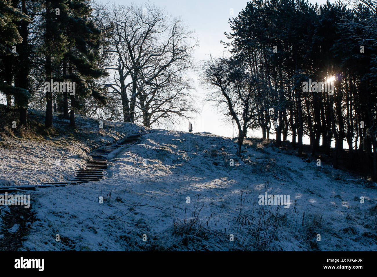 Persone che camminano nella neve al Phoenix Park di Dublino su un bellissimo inverno mattina del primo giorno del nuovo anno 2010 Foto Stock