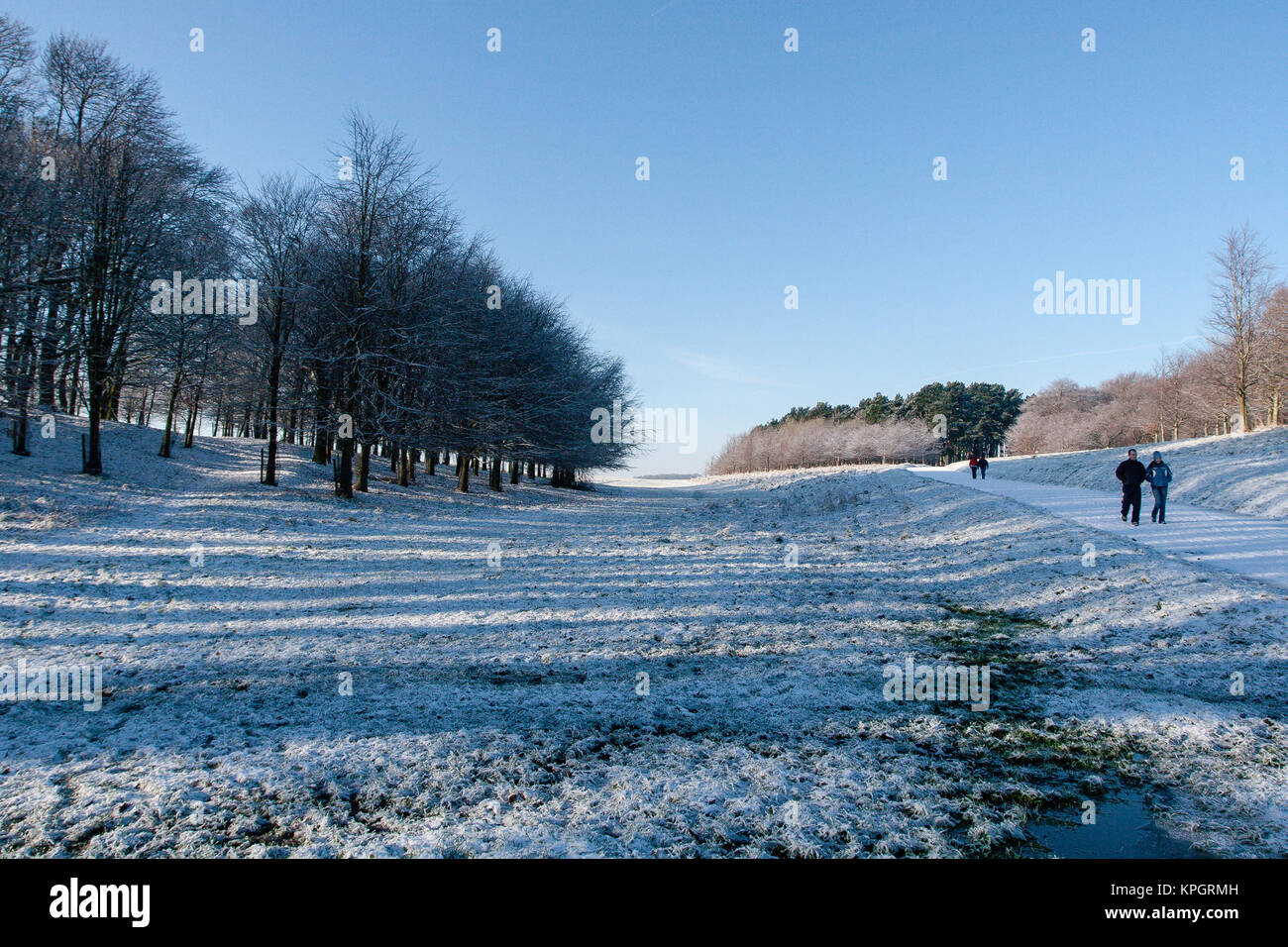 Persone che camminano nella neve al Phoenix Park di Dublino su un bellissimo inverno mattina del primo giorno del nuovo anno 2010 Foto Stock