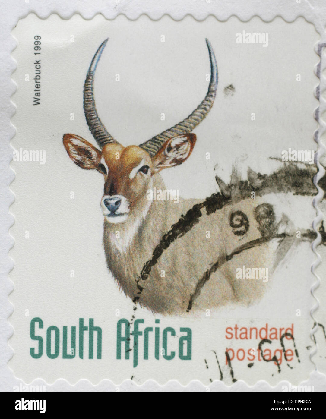 South African francobollo con Waterbuck, Standard affrancatura, 1999, Sud Africa. Foto Stock