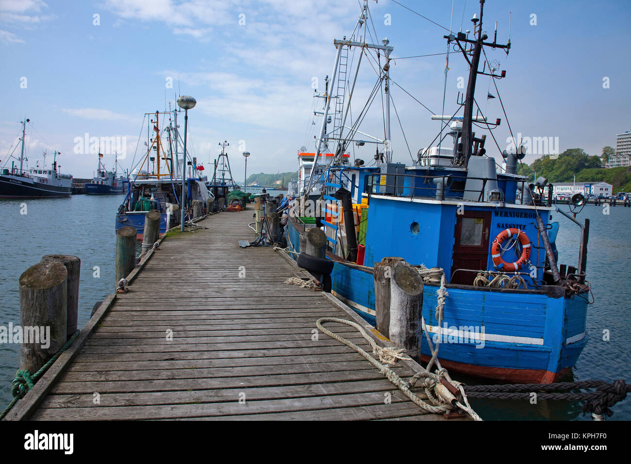 La pesca fresa al vecchio porto di Sassnitz, Ruegen isola, Meclemburgo-Pomerania, Mar Baltico, Germania, Europa Foto Stock