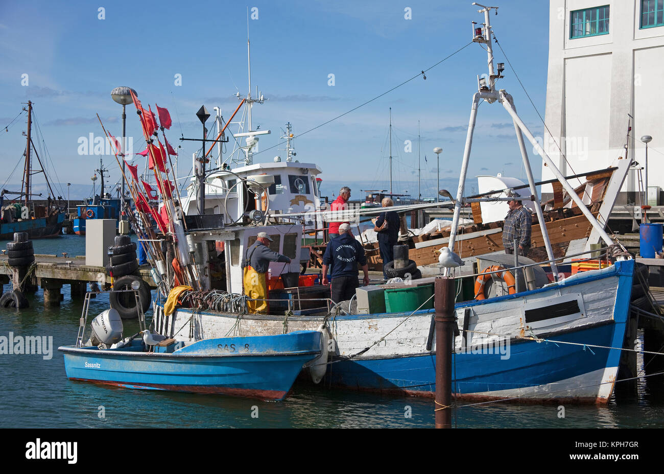 I pescatori del porto di Sassnitz, Ruegen isola, Meclemburgo-Pomerania, Mar Baltico, Germania, Europa Foto Stock