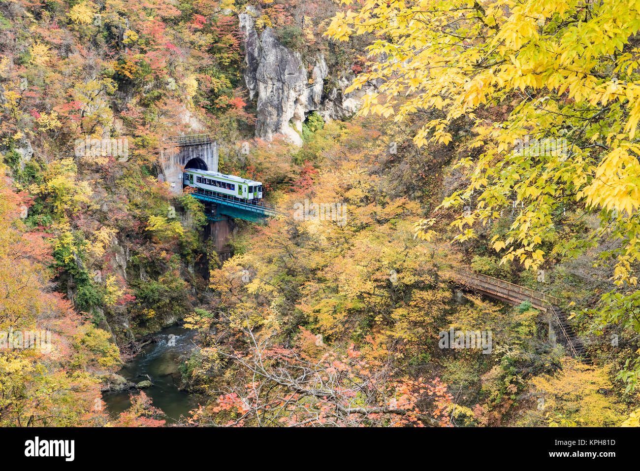 La forra Naruko Foglie di autunno nella stagione autunnale, Giappone Foto Stock