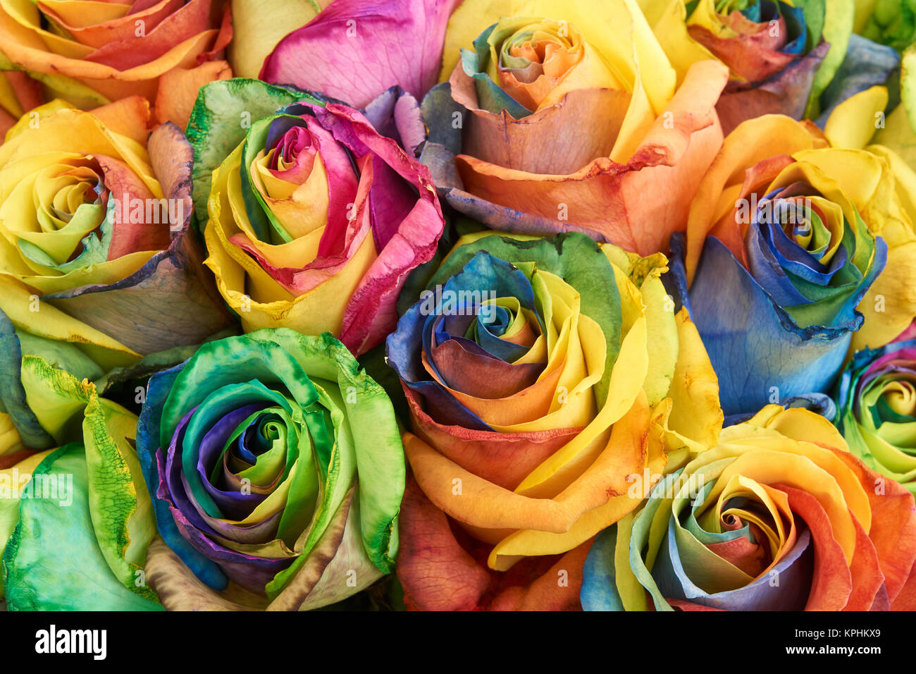 Mazzo di rose multicolori come sfondo floreale Foto Stock