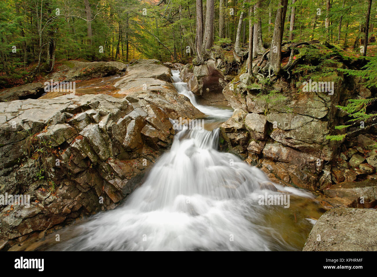 Fiume Pemigewasset cascata, Franconia Notch, New Hampshire Foto Stock