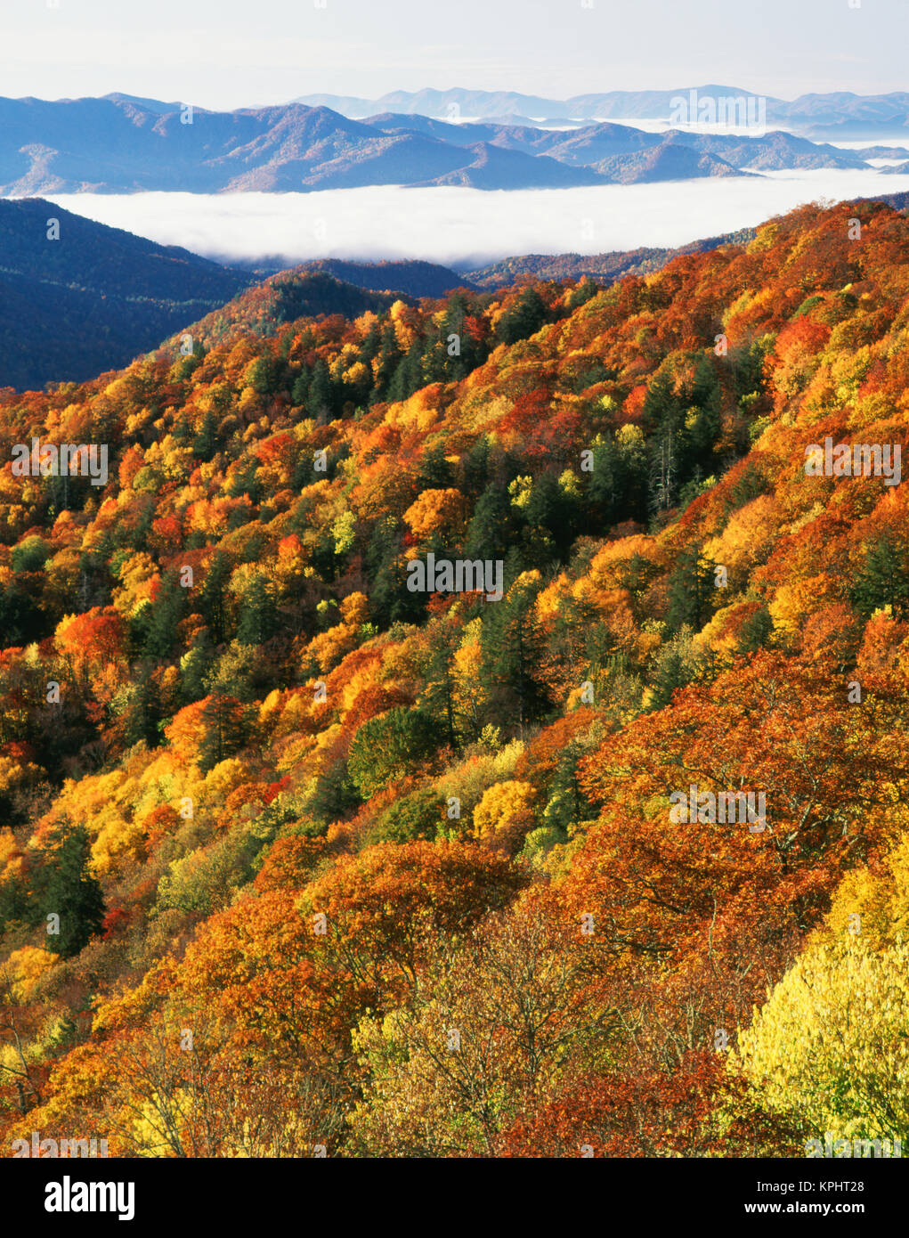 Stati Uniti d'America, North Carolina, Great Smoky Mountains National Park con Deep Creek Valley durante l'autunno (formato di grandi dimensioni disponibili) Foto Stock