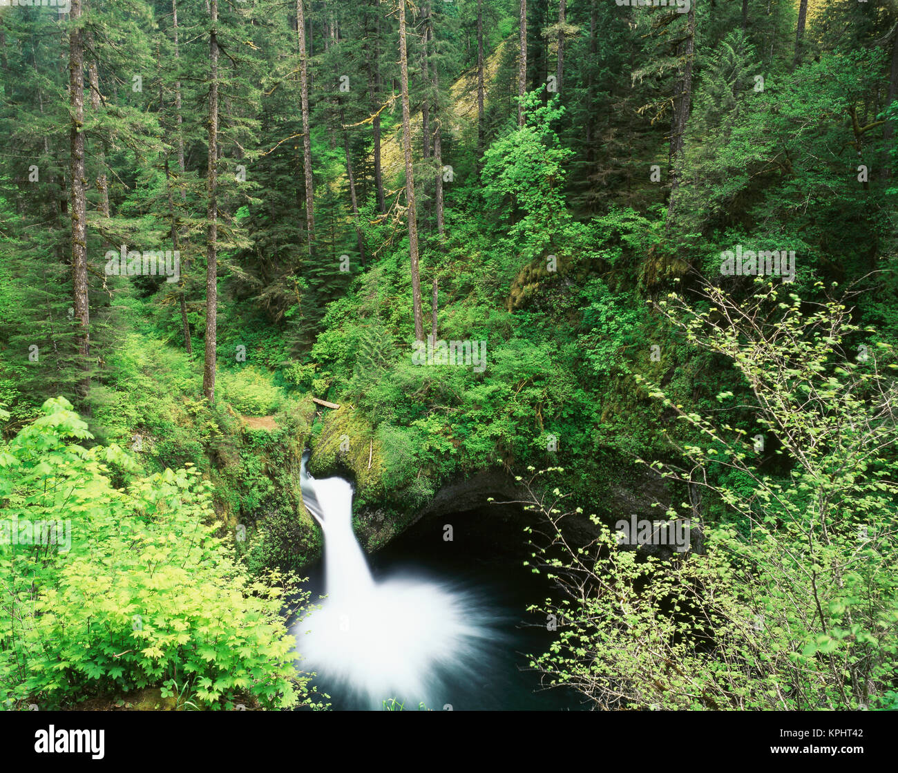 Stati Uniti d'America, Oregon, Punch Bowl Falls, Columbia River Gorge National Scenic Area (formato di grandi dimensioni disponibili) Foto Stock