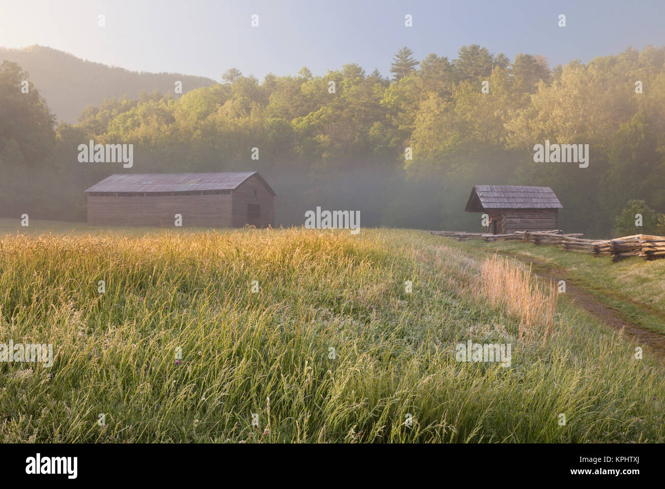 Dan Lawson luogo presso sunrise, Cades Cove, Great Smoky Mountains National Park, Tennessee Foto Stock