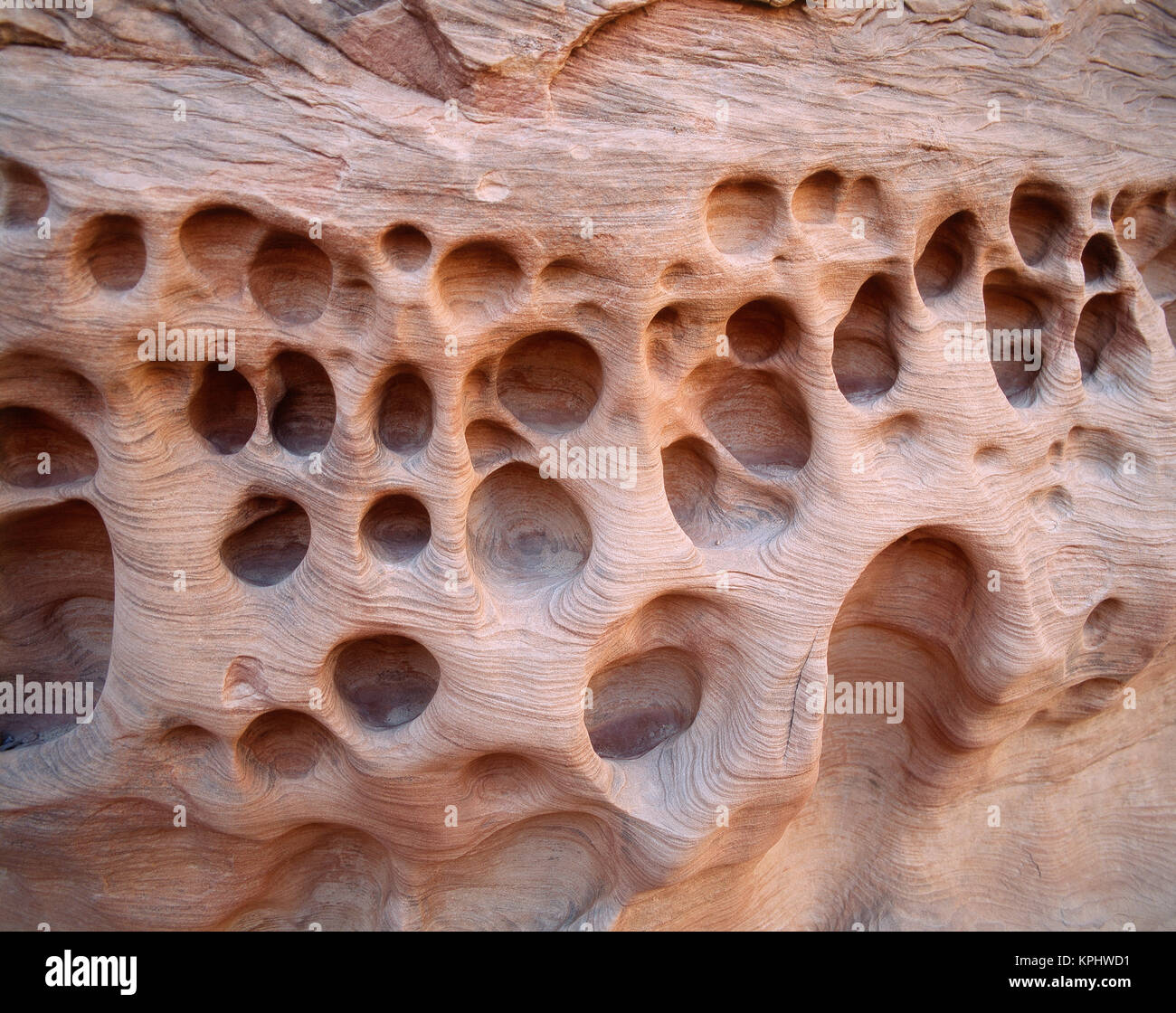 Stati Uniti d'America, Utah, vista del Canyon Wildhorse (formato di grandi dimensioni disponibili) Foto Stock