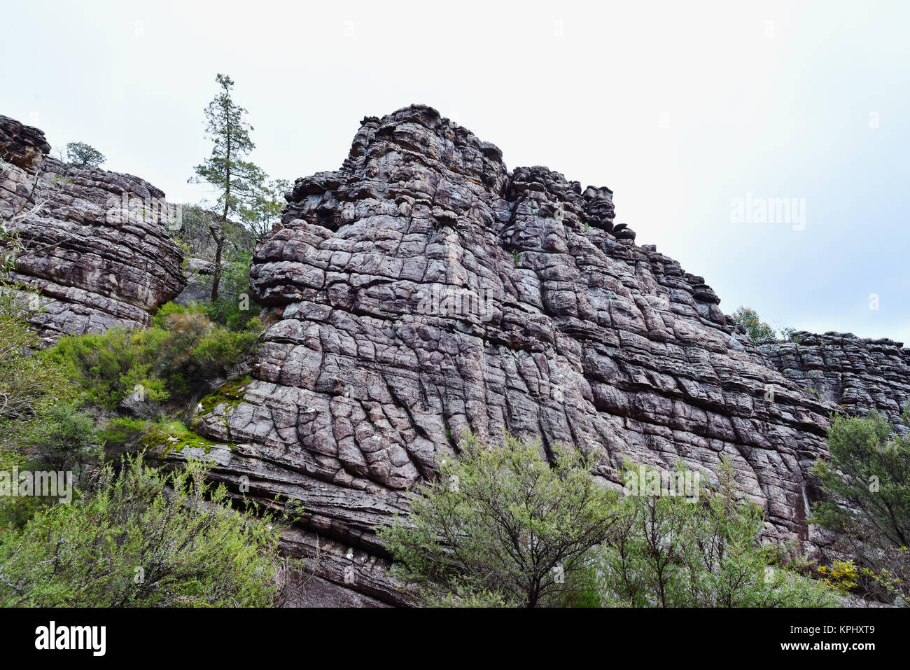 Australia Victoria. Parco Nazionale di Grampians. Crepe e rughe nelle rocce del burrone della Grampians Grand Canyon. Foto Stock