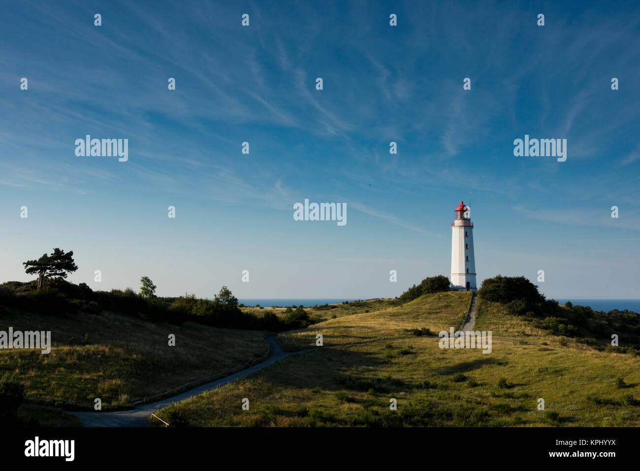 Sonnenaufgang über dem Meer,Blick Richtung Bodden,warmes Licht über dem Meer, erstes Licht am Tage,Mohnblüten Foto Stock