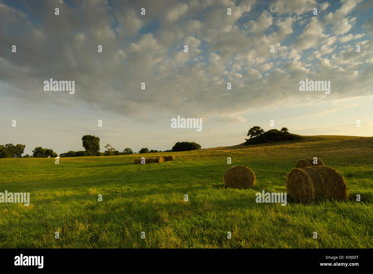 Sonnenaufgang über dem Meer,Blick Richtung Bodden,warmes Licht über dem Meer, erstes Licht am Tage,Mohnblüten Foto Stock