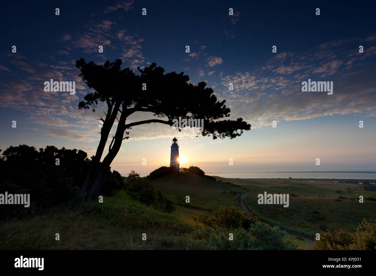 Sonnenaufgang über dem Meer,Blick Richtung Bodden,warmes Licht über dem Meer, erstes Licht am Tage,Mohnblüten Foto Stock