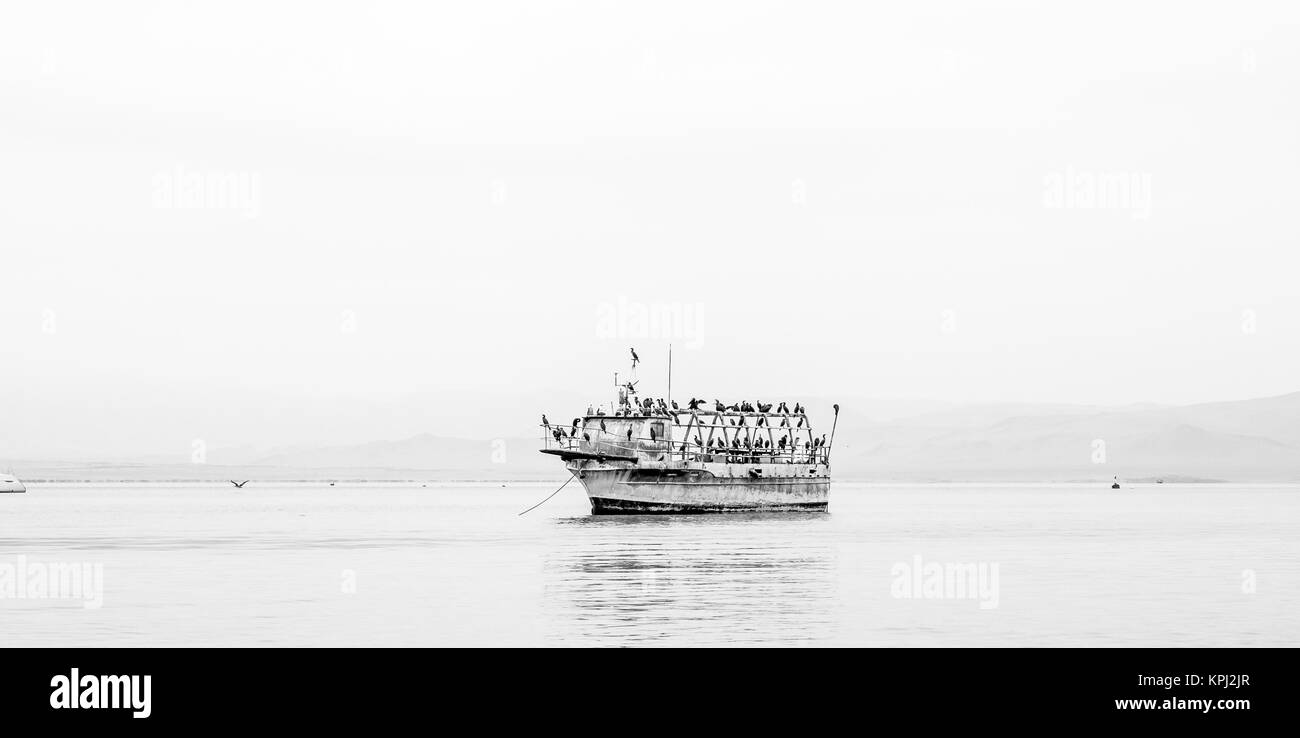 Una vecchia barca in mezzo alla Baia di Paracas colonizzate da uccelli Foto Stock