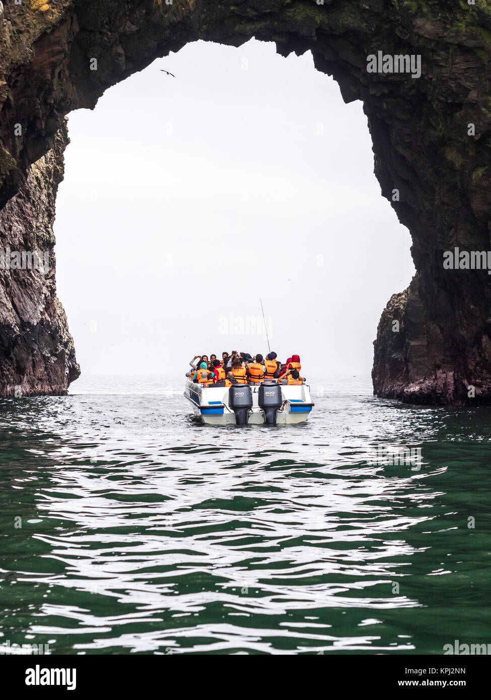 Paracas, Perù - 15 Ottobre 2014: tour in barca intorno alle Isole Ballestas parco nazionale. Foto Stock