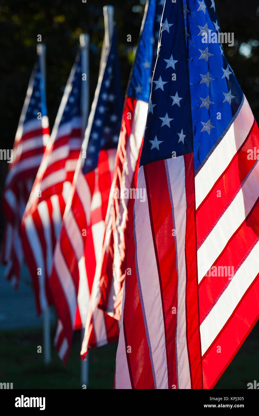 Stati Uniti d'America, Arkansas, Heber Springs, Stati Uniti d'America bandiere Foto Stock