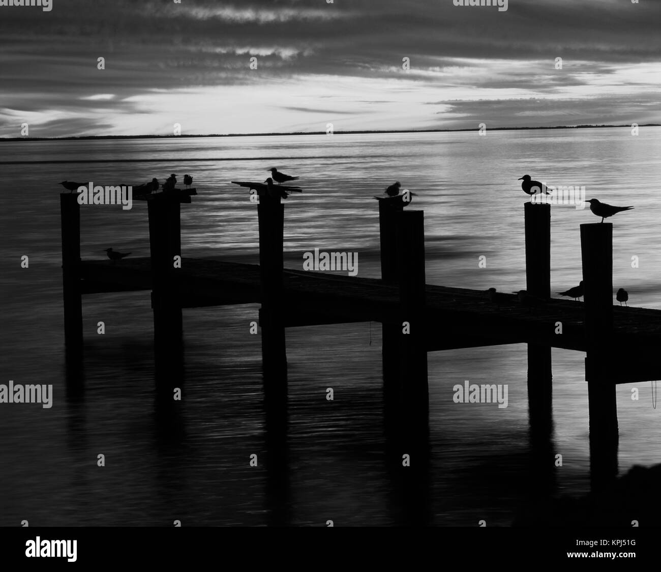 Stati Uniti d'America, Fort Myers, vista di uccelli sul molo al tramonto (formato di grandi dimensioni disponibili) Foto Stock