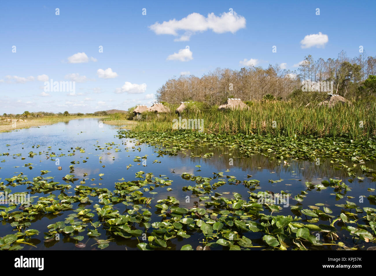 Stati Uniti d'America, Florida, Big Cypress Seminole Prenotazione: Billie Swamp Safari, Everglades Cottages Foto Stock