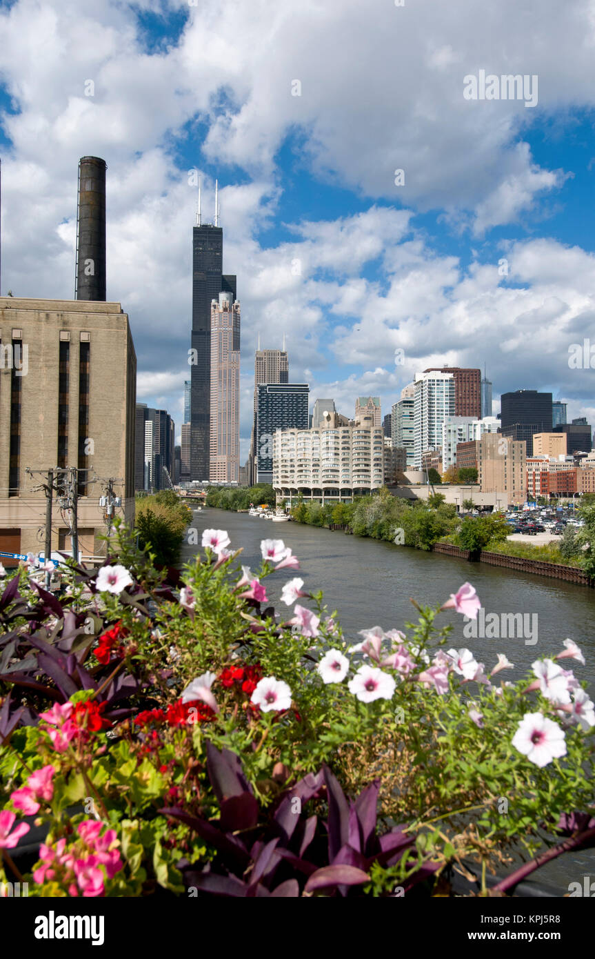 Sullo skyline di Chicago e il fiume guardando a nord Foto Stock