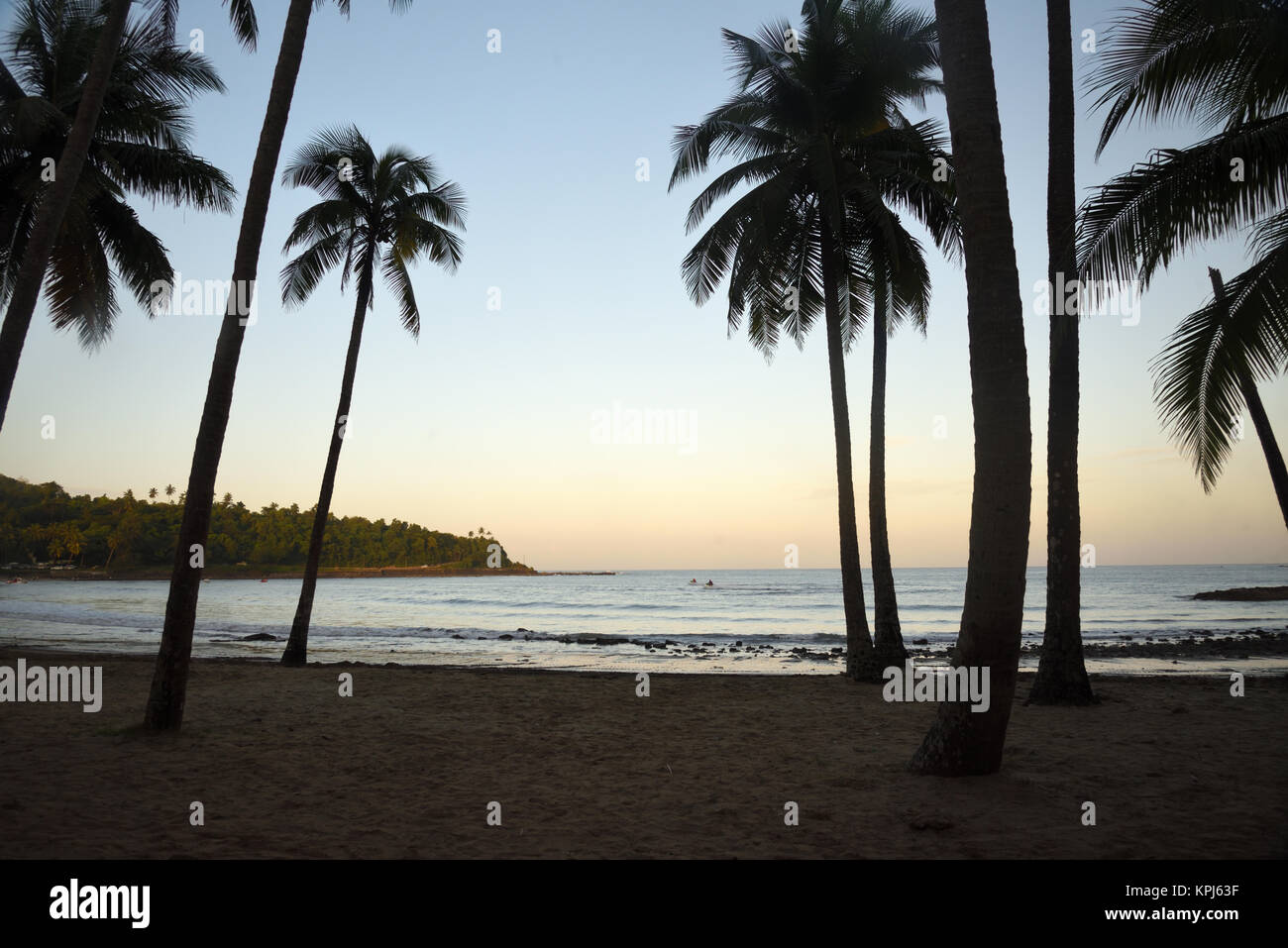 Spiaggia di Radhanagar, Isola delle Andamane Foto Stock