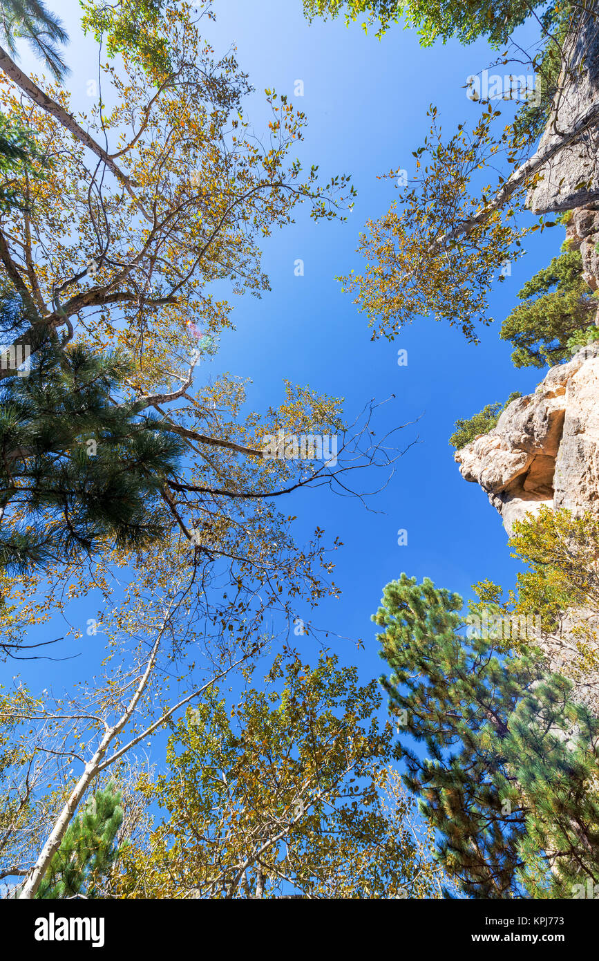 Cerca fino a sud di Piney Canyon Foto Stock