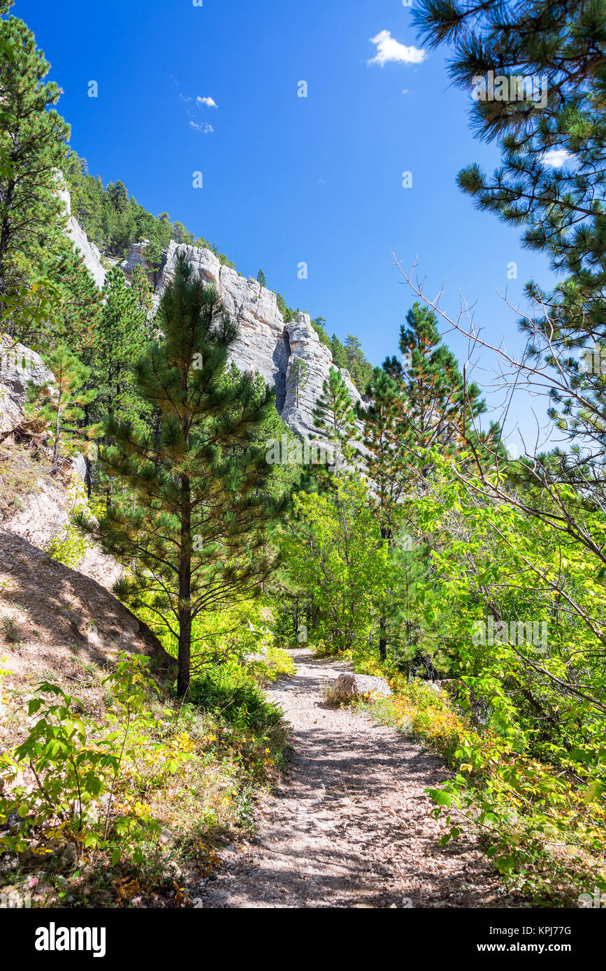 Sentiero escursionistico in verticale del Wyoming Foto Stock