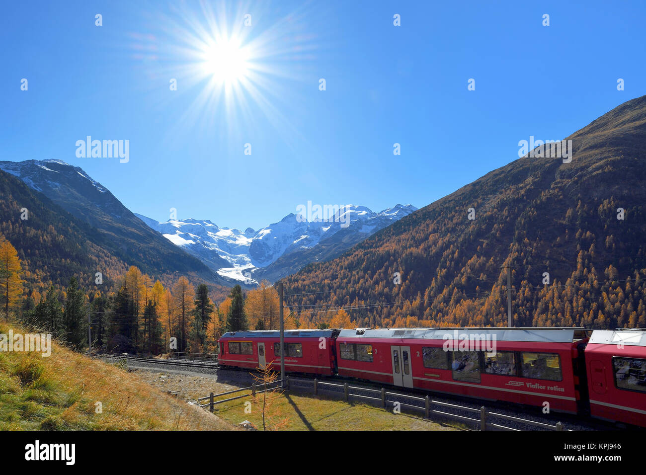 Bernina Express viene eseguito attraverso il bosco di larici in autunno, alle spalle di Morteratsch ghiacciaio, Canton Grigioni, Svizzera Foto Stock