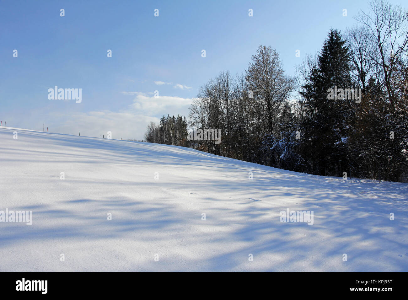 Prati innevati e campi. prati e campi in inverno Foto Stock