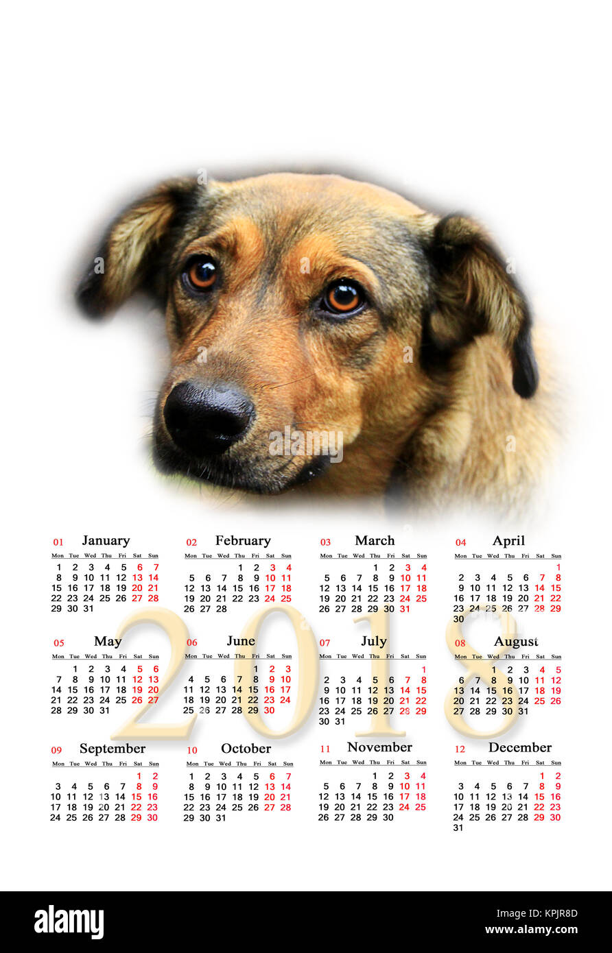 Calendario verticale per il 2018 con l'immagine di un bel tipo cane. Cane come un simbolo di 2008 anni Foto Stock