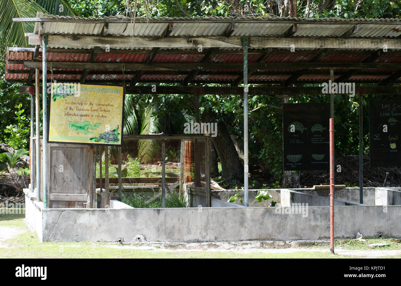 Outdoor enclosure tartaruga/den, Isola Curieuse, Seychelles. Foto Stock