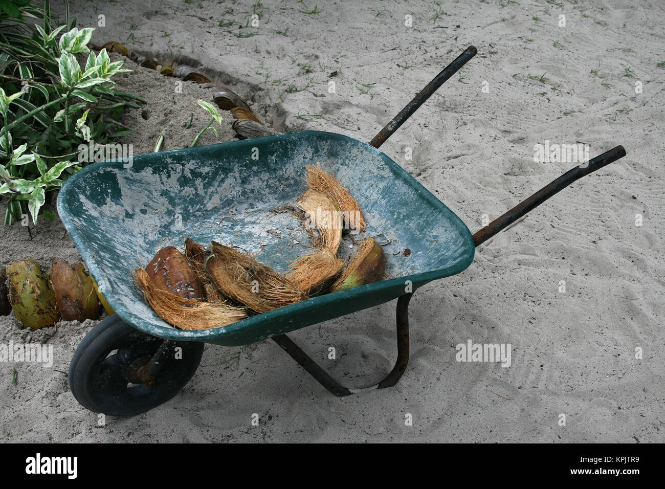 Ruota barrow con vuoto coco de mer di gusci di noce di cocco, La Digue; Seychelles. Foto Stock