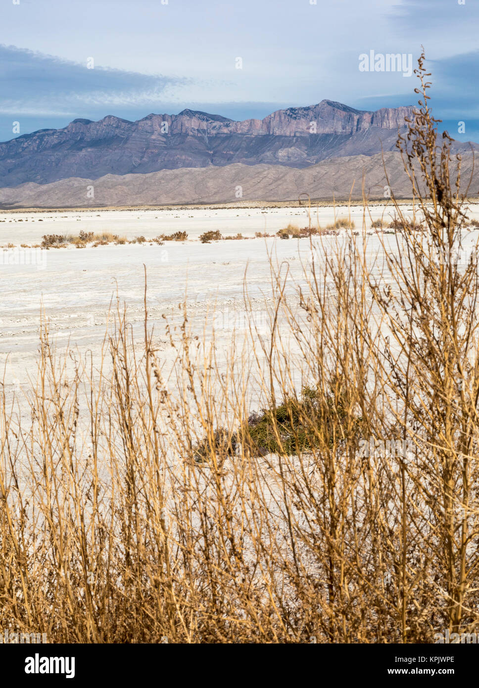 Distesa di sale, Texas - sale - appartamenti vicino al Parco Nazionale delle Montagne Guadalupe. Foto Stock