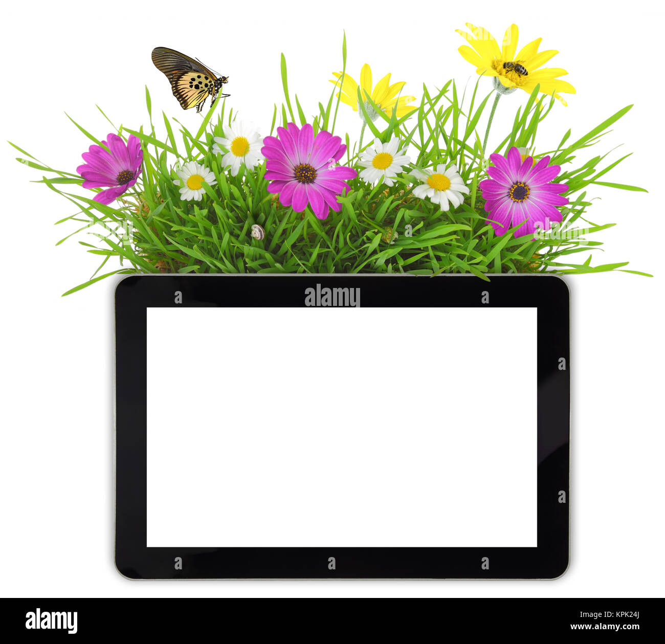 Tablet con schermata bianca vuota,l'erba e fiori Foto Stock