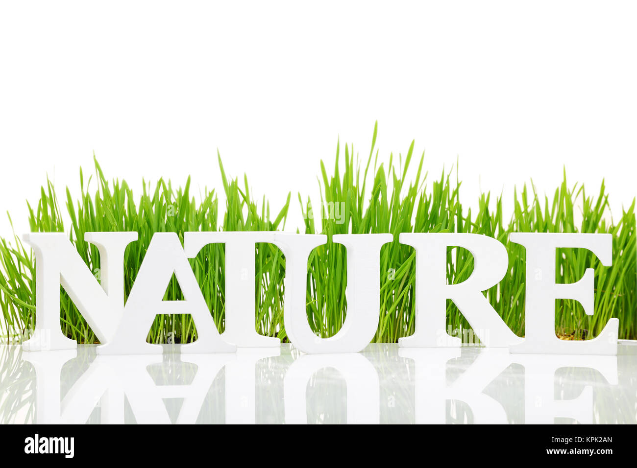 La parola "Natura" con erba fresca isolato su bianco Foto Stock