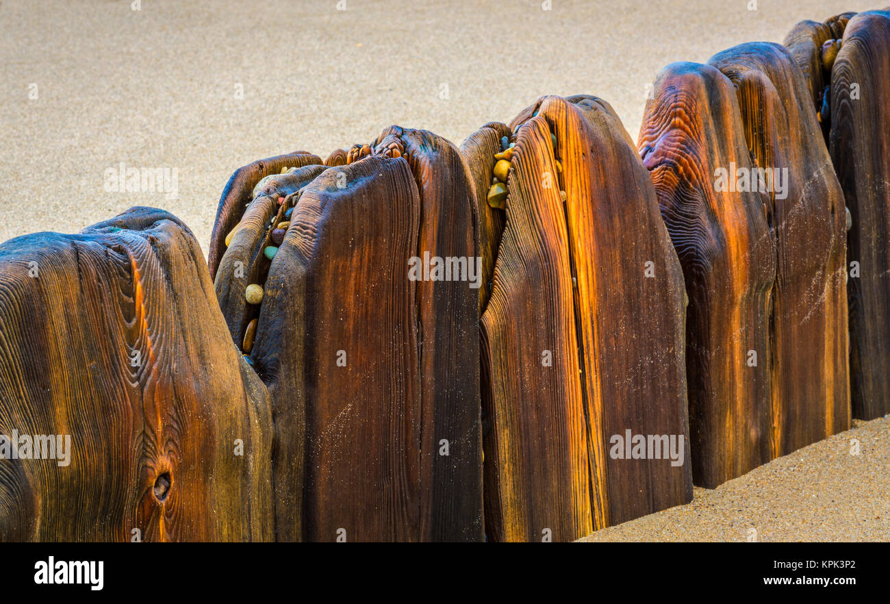 Liscia le strutture in legno in una fila creando una barriera nella sabbia con ciottoli colorati nelle crepe; South Shields, Tyne and Wear, Inghilterra Foto Stock