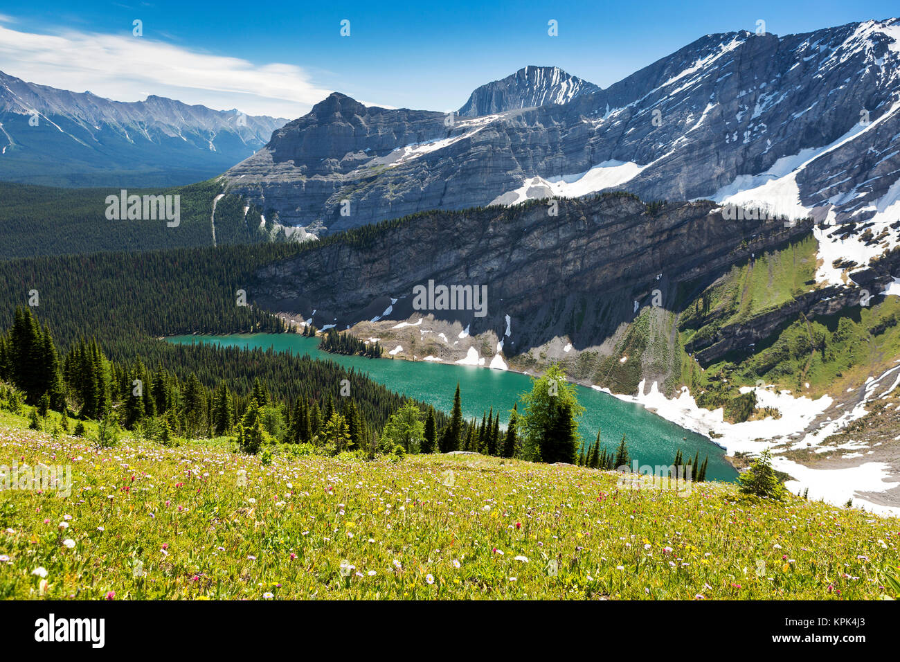 Fiori alpini su una collina con lago alpino e la gamma della montagna; Kananaskis Country, Alberta, Canada Foto Stock