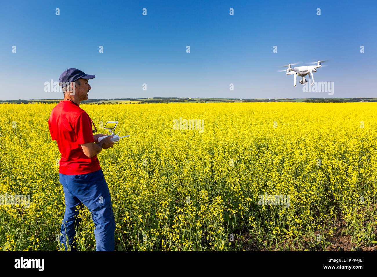 L'uomo battenti un drone su una fioritura canola field, a nord del Lago di Silvestri; Alberta, Canada Foto Stock