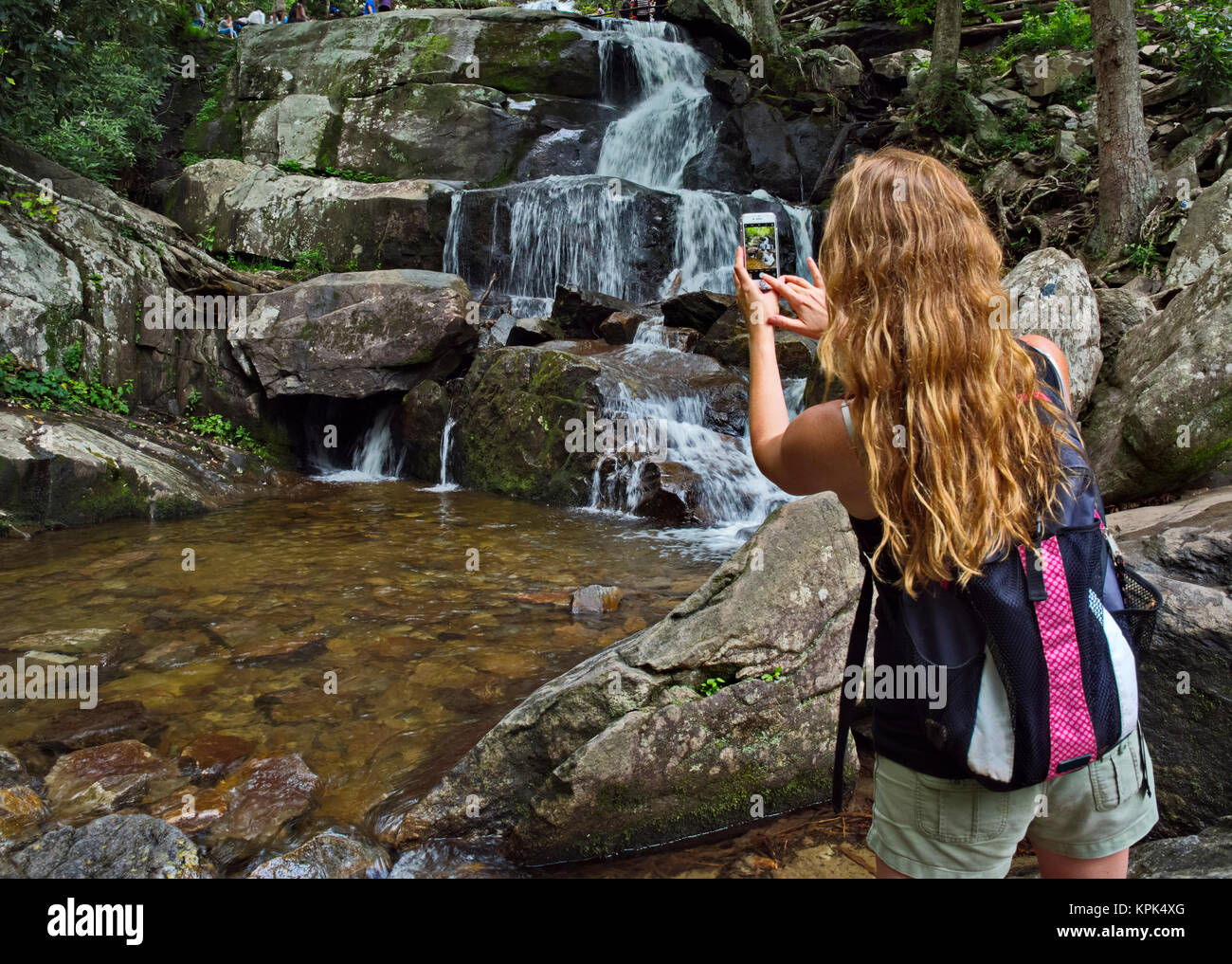 Una donna prende un telefono cellulare foto di alloro cade in un giorno di estate in Great Smokey Mountains National Park Foto Stock