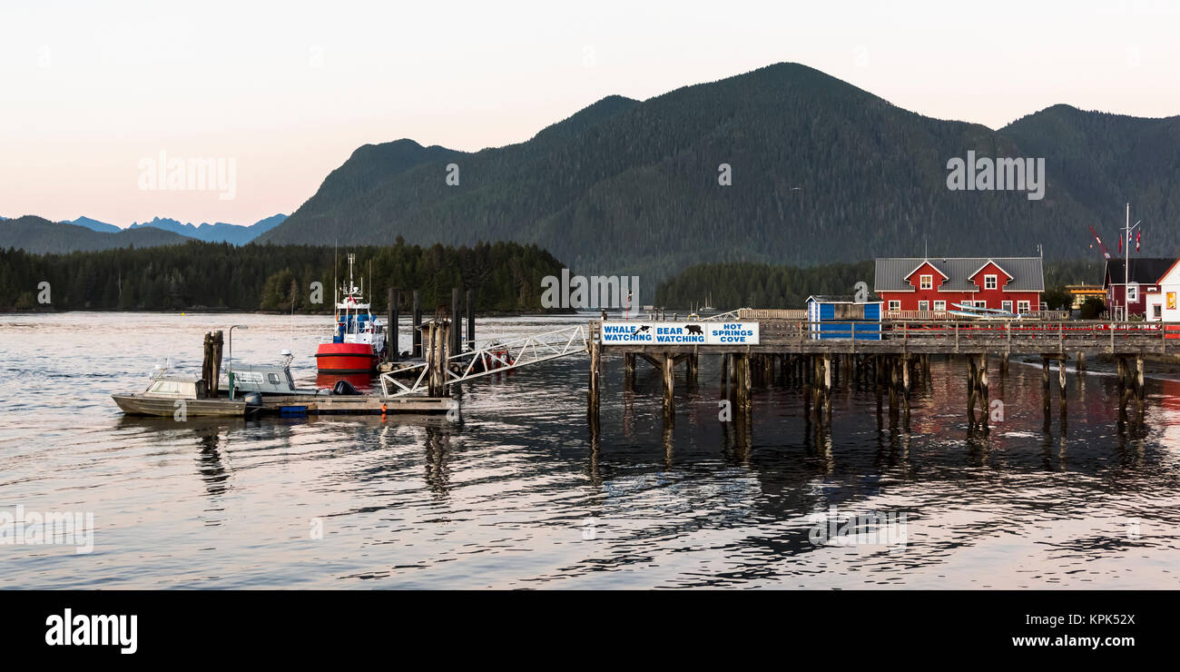 Edifici e banchine lungo la costa con segni di balena e recano a guardare, Clayoquot Sound, Vancouver Island; Tofino, British Columbia, Canada Foto Stock
