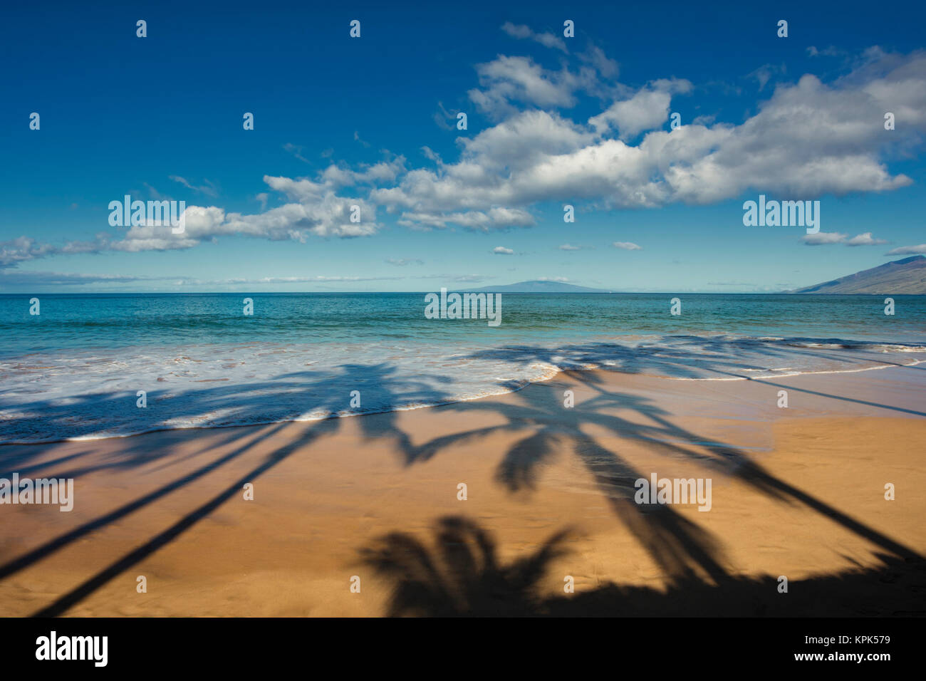 Ombre di palme sulla spiaggia in una giornata di sole; Maui, Hawaii, Stati Uniti d'America Foto Stock