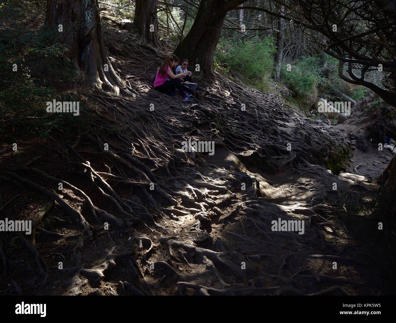 Cordoba, Argentina, 2017: giovani donne a sedersi su un pavimento pieno di esposti radici di albero sul sentiero per una caduta di acqua in corrispondenza del tratto medio del fiume Fiume Foto Stock