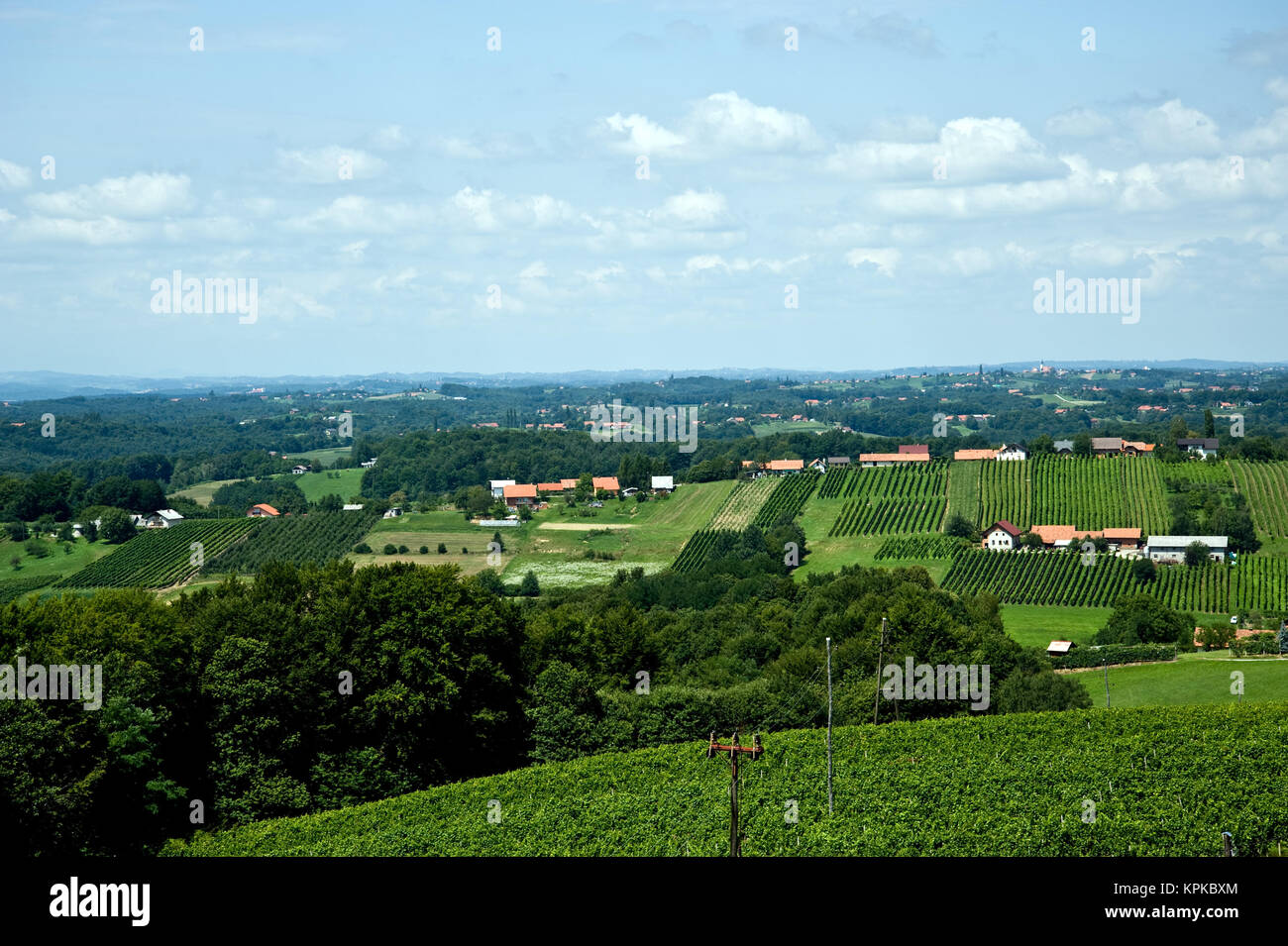 Regione vinicola di rogoznica Foto Stock