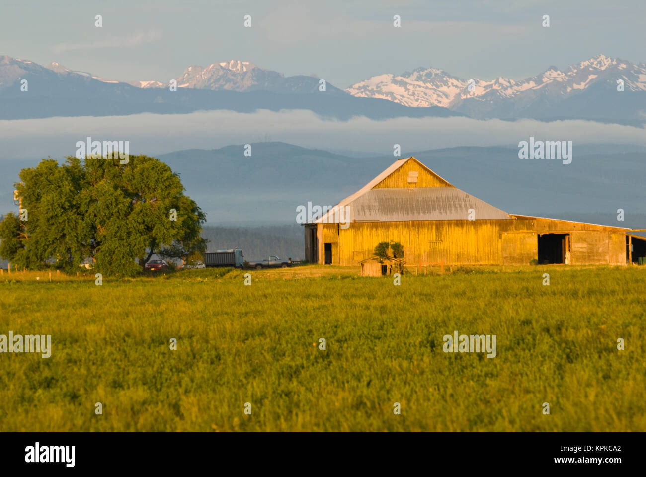 Stati Uniti d'America, WA, Isola di contea, Whidbey Island. Ebey's Landing storico nazionale di riserva. Fienile storico brillantemente illuminato da sunrise prima luce. Montagne Olimpiche al di là Foto Stock