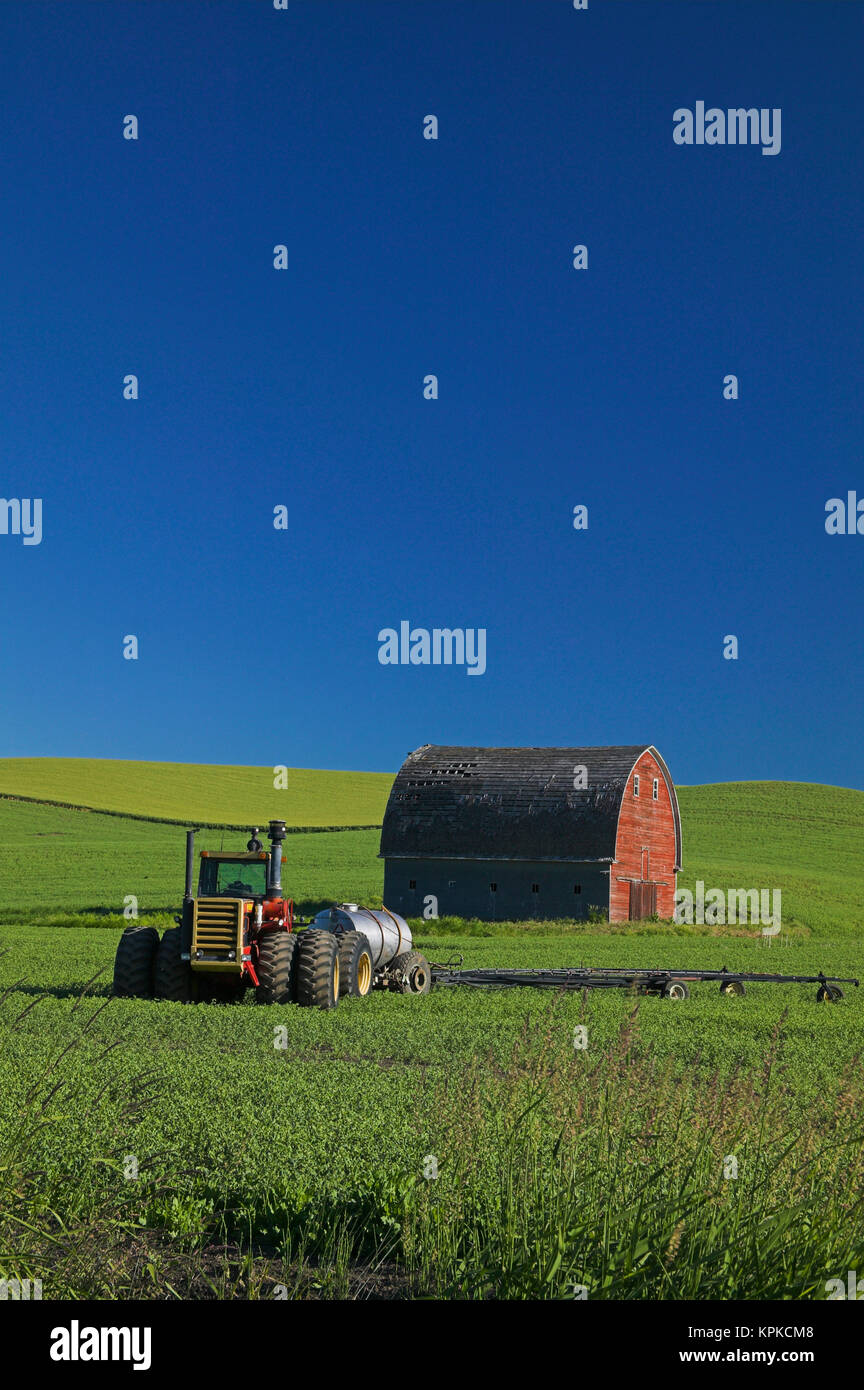 Stati Uniti d'America, Washington, vecchio granaio rosso nel verde primavera Campo di grano Foto Stock